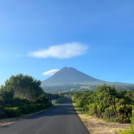 בית נופש Mirateca House מדלנה